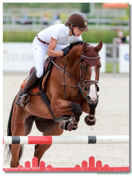 �amor�n Summer Masters - YH 5/6 years