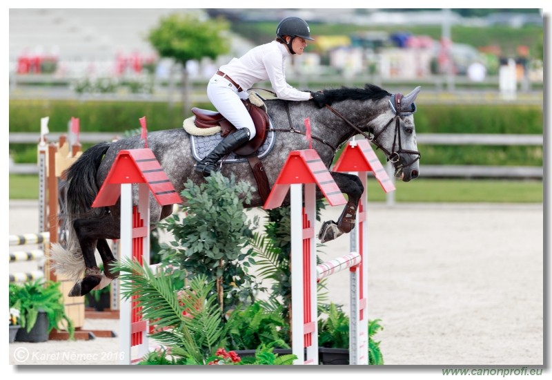 �amor�n Summer Masters - YH 5/6 years