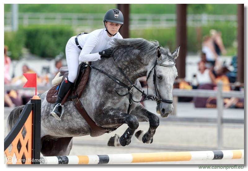�amor�n Summer Masters - YH 5/6 years