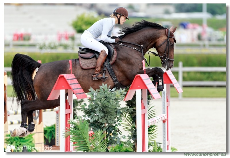 �amor�n Summer Masters - YH 5/6 years