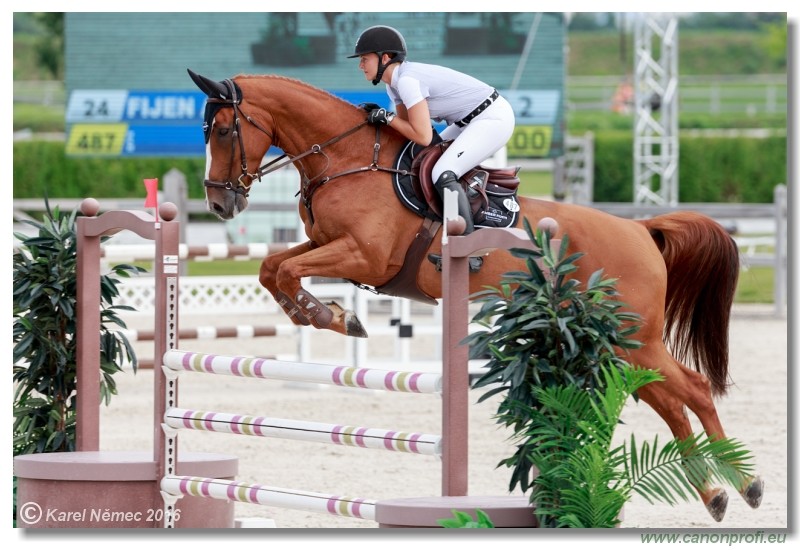 �amor�n Summer Masters - YH 5/6 years