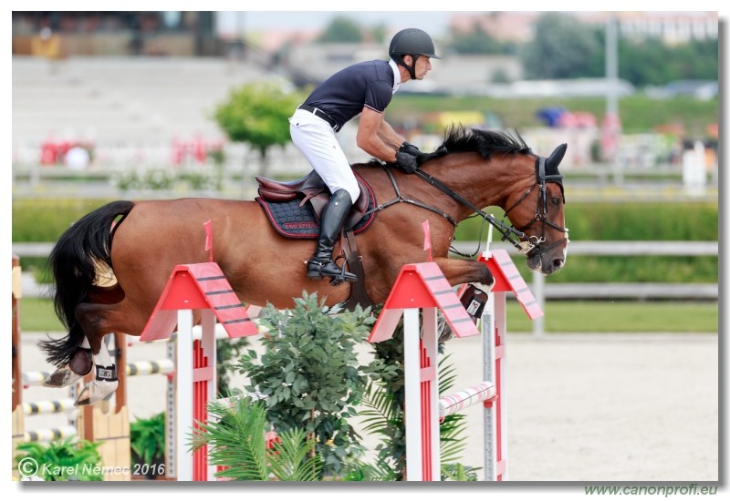 �amor�n Summer Masters - YH 5/6 years