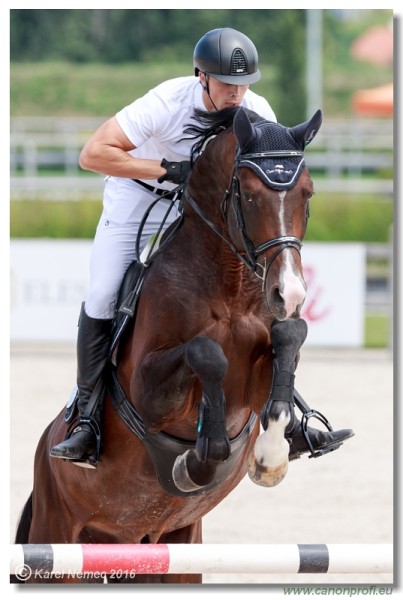 �amor�n Summer Masters - YH 5/6 years