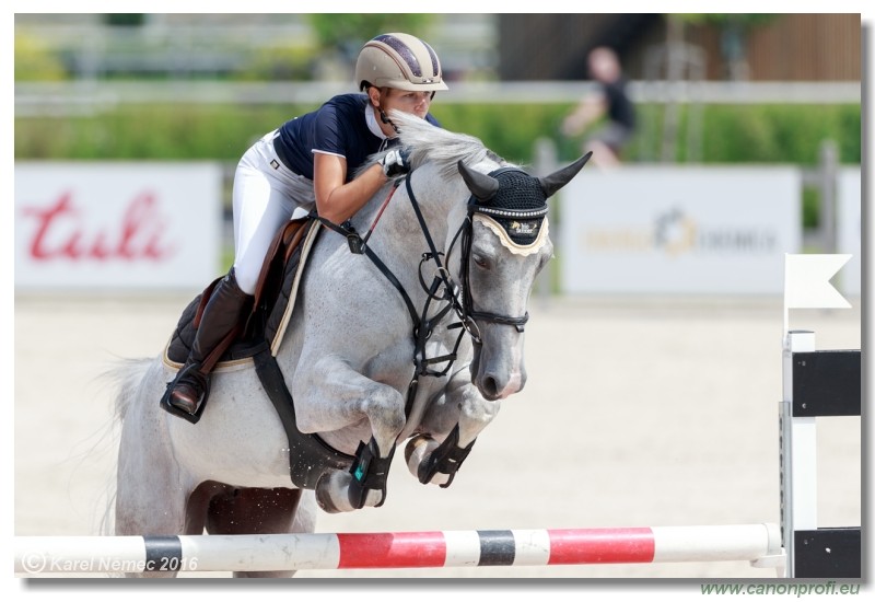 �amor�n Summer Masters - YH 5/6 years