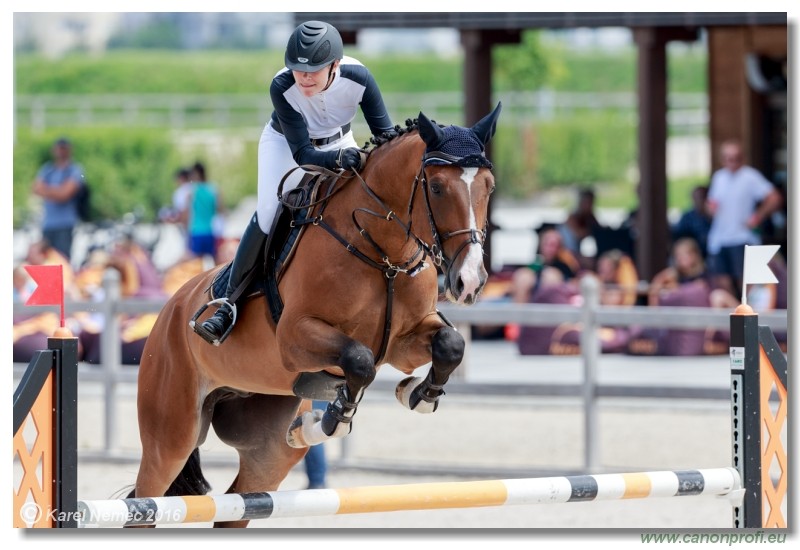 �amor�n Summer Masters - YH 5/6 years