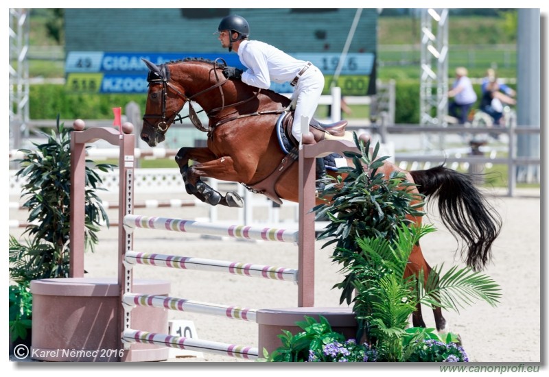 �amor�n Summer Masters - YH 5/6 years