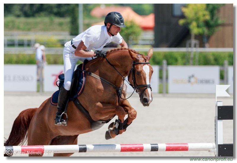 �amor�n Summer Masters - YH 5/6 years