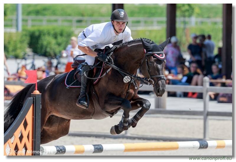 �amor�n Summer Masters - YH 5/6 years