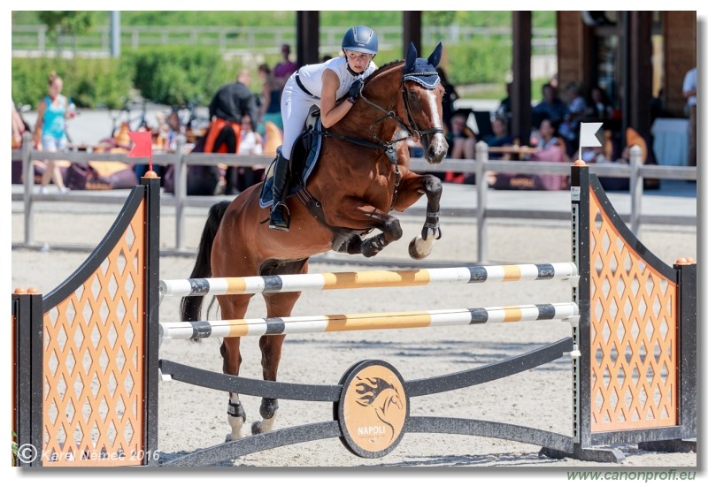 �amor�n Summer Masters - YH 5/6 years