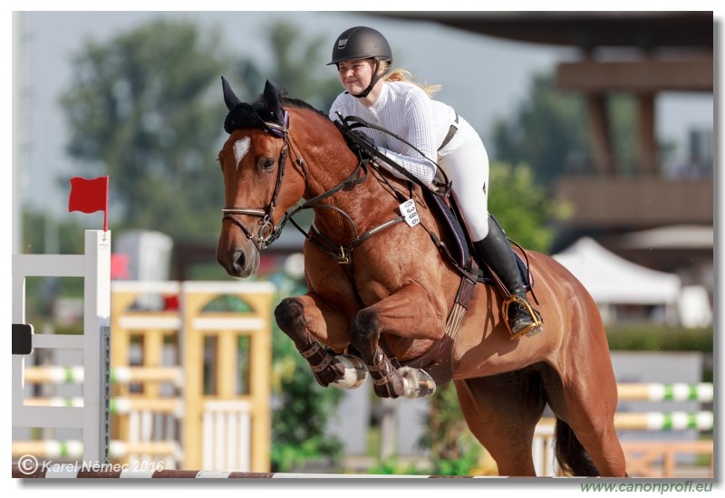 �amor�n Summer Masters - Amateur Tour