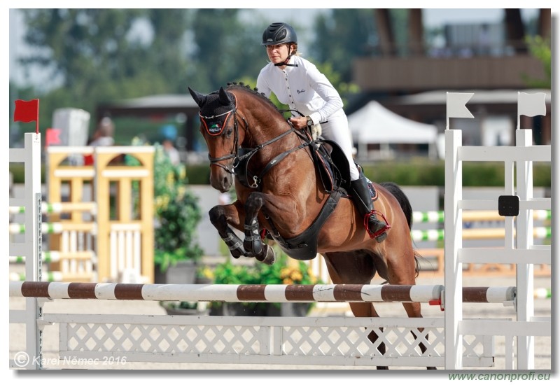 �amor�n Summer Masters - Amateur Tour