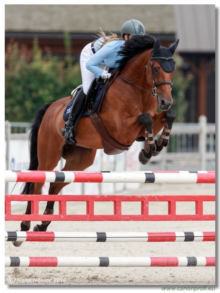 �amor�n Summer Masters - Amateur Tour