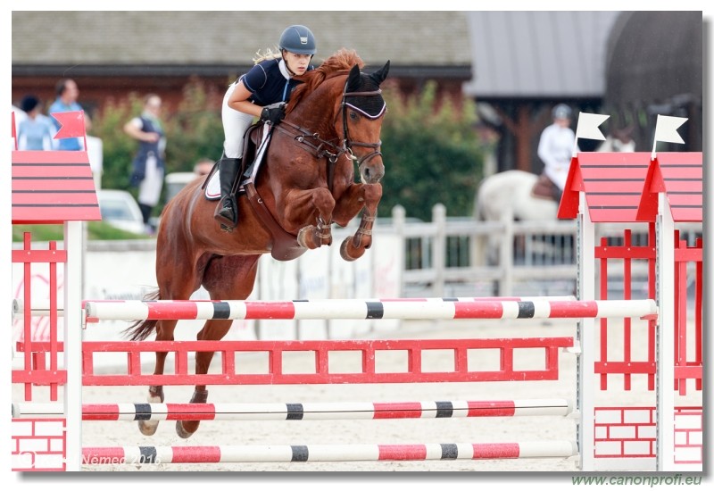 �amor�n Summer Masters - Amateur Tour