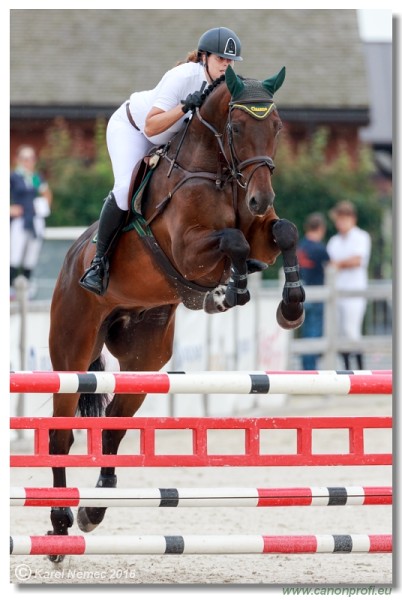 �amor�n Summer Masters - Amateur Tour