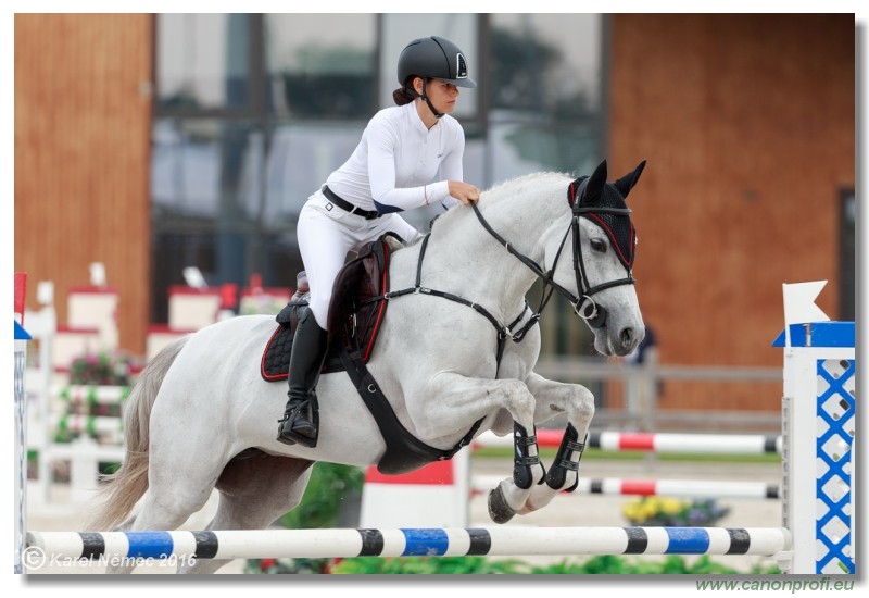 �amor�n Summer Masters - Amateur Tour