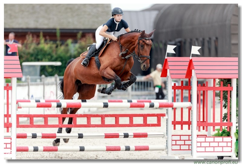 �amor�n Summer Masters - Amateur Tour