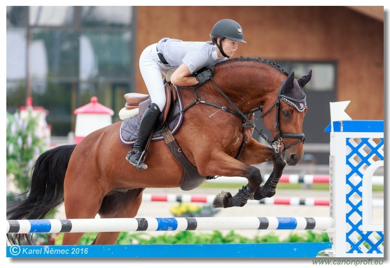 �amor�n Summer Masters - Amateur Tour