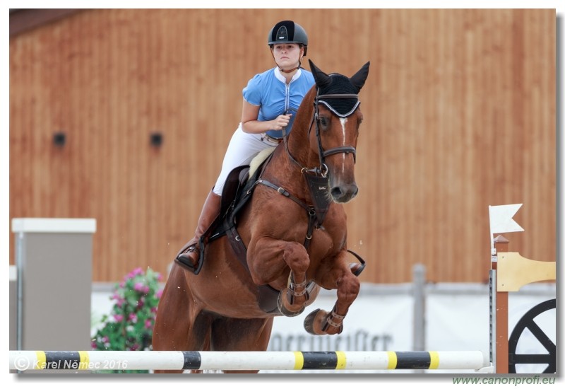 �amor�n Summer Masters - Amateur Tour