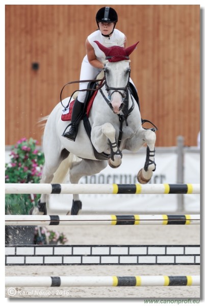 �amor�n Summer Masters - Amateur Tour