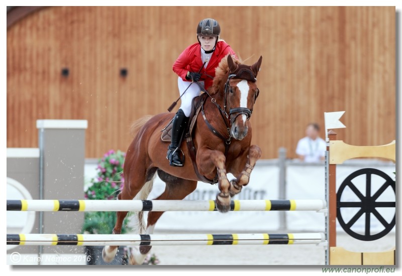 �amor�n Summer Masters - Amateur Tour