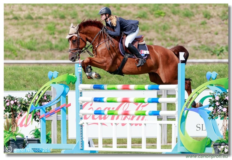 �amor�n Summer Masters - Grand Prix