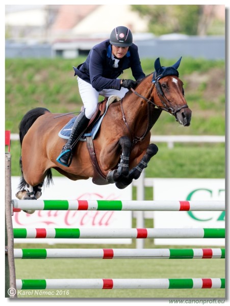 �amor�n Summer Masters - Grand Prix