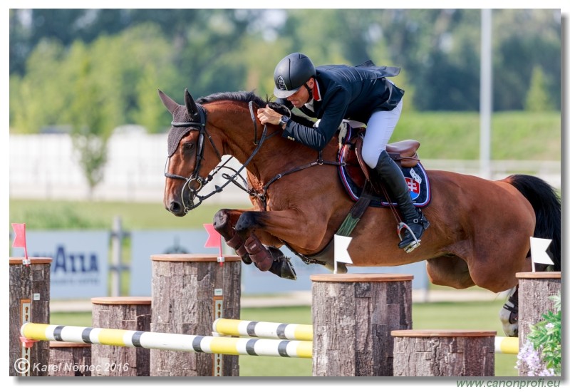 �amor�n Summer Masters - Grand Prix