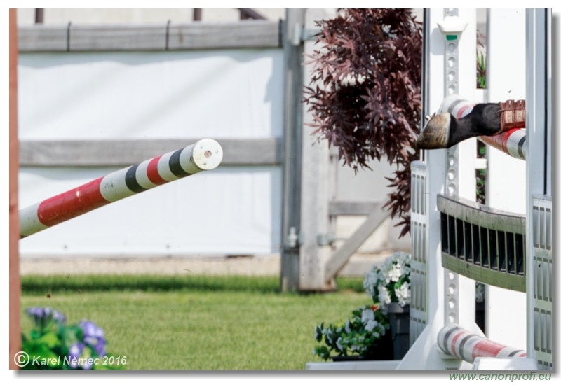 �amor�n Summer Masters - Grand Prix