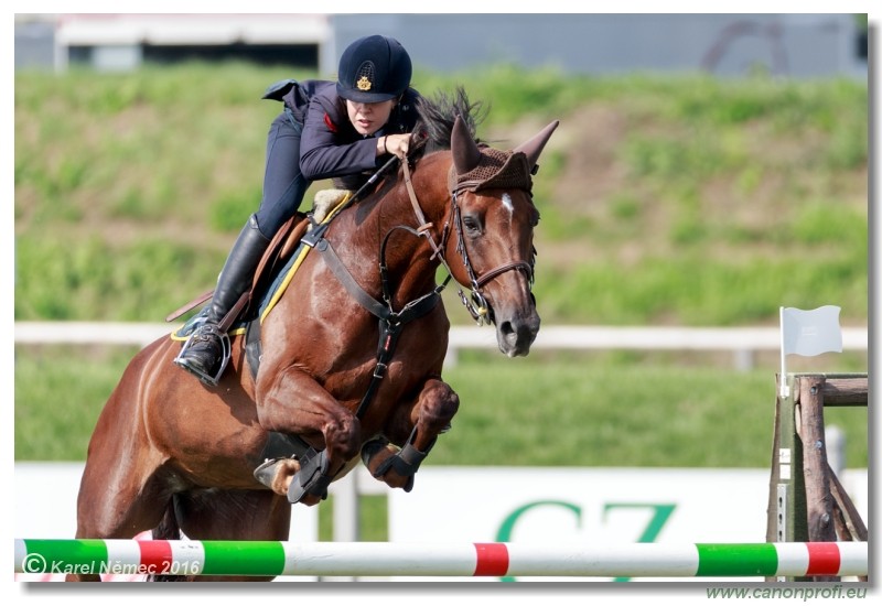 �amor�n Summer Masters - Grand Prix