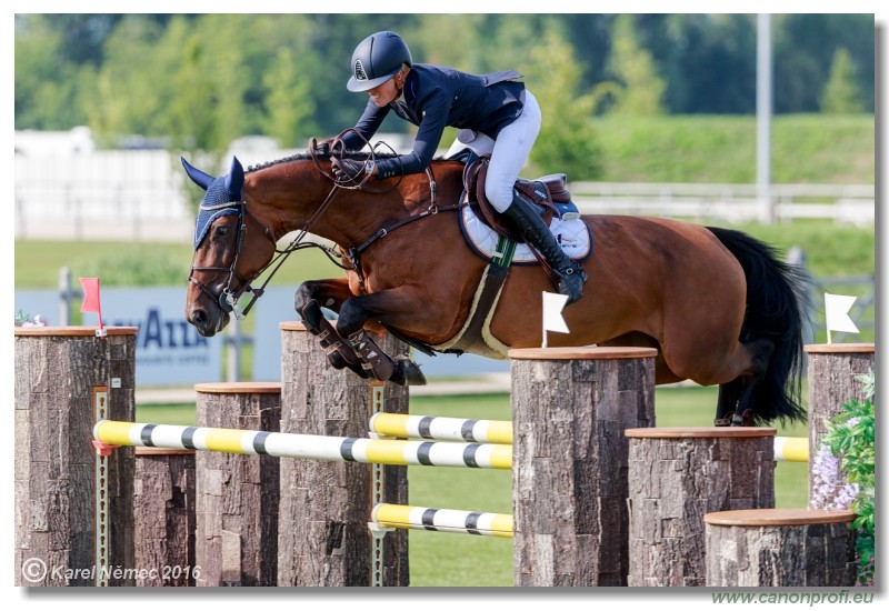 �amor�n Summer Masters - Grand Prix