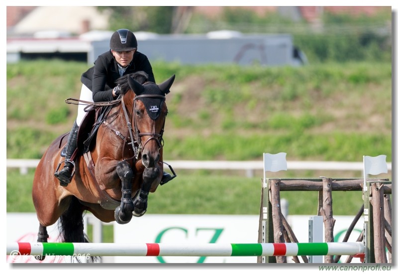 �amor�n Summer Masters - Grand Prix