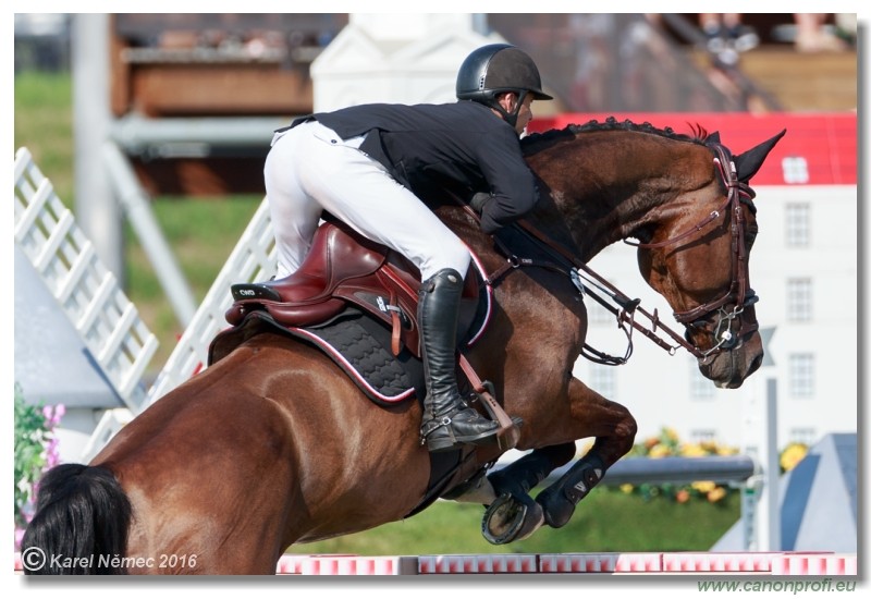 �amor�n Summer Masters - Grand Prix