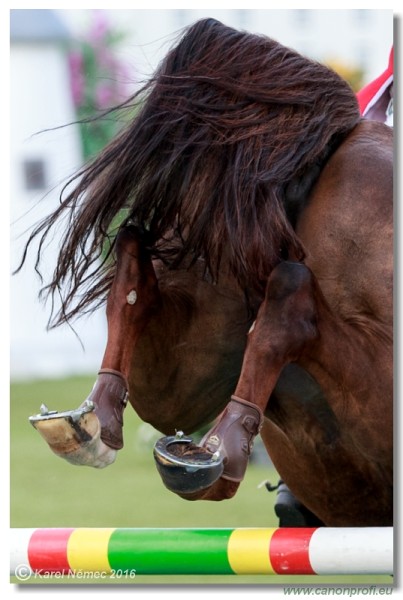 �amor�n Summer Masters - Grand Prix