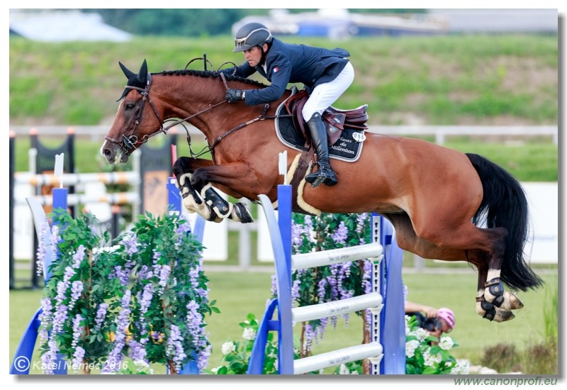 �amor�n Summer Masters - Grand Prix