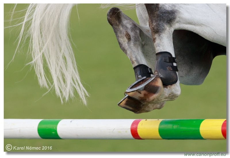 �amor�n Summer Masters - Grand Prix