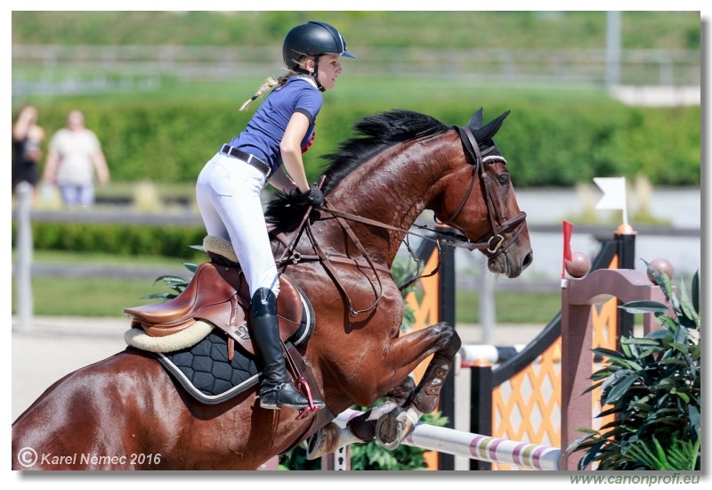 �amor�n Summer Masters - Opal Tour