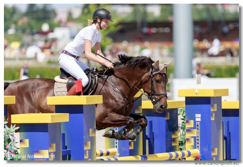 �amor�n Summer Masters - Opal Tour