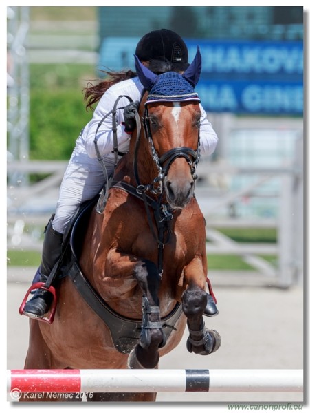 �amor�n Summer Masters - Opal Tour