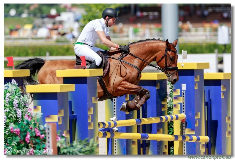 �amor�n Summer Masters - Opal Tour