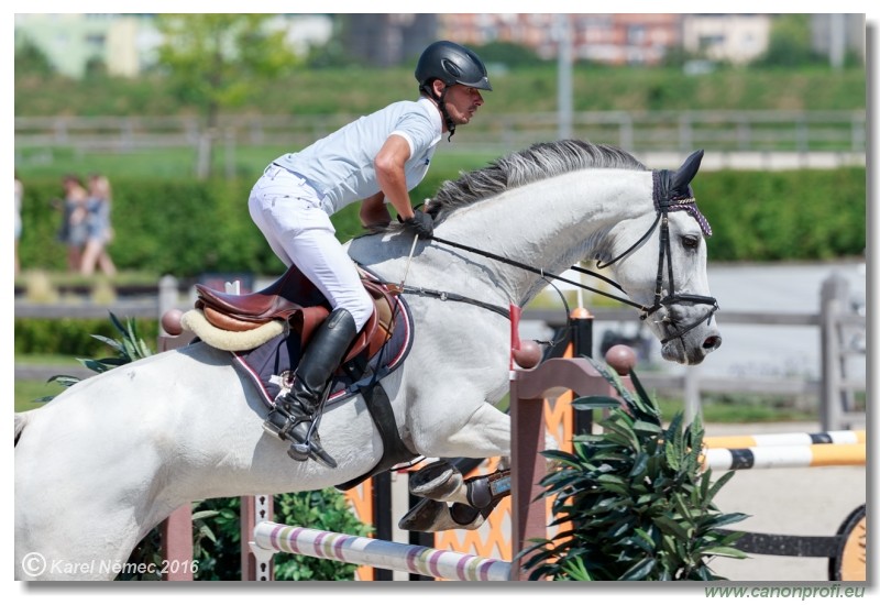 �amor�n Summer Masters - Opal Tour