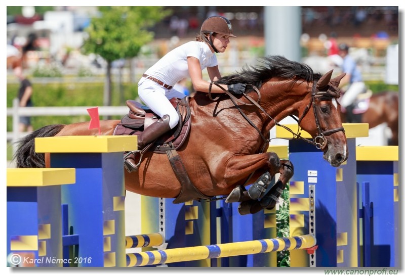 �amor�n Summer Masters - Opal Tour