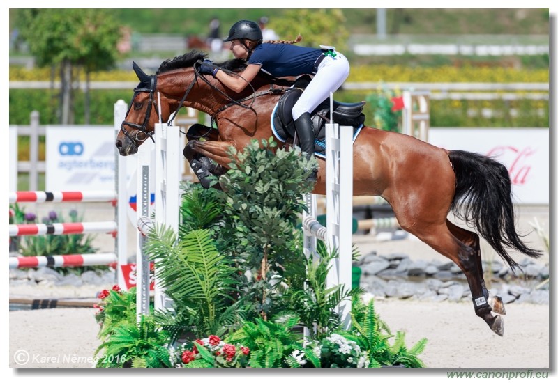 �amor�n Summer Masters - Opal Tour