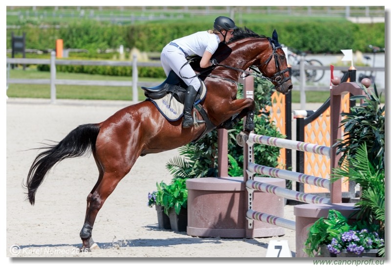 �amor�n Summer Masters - Opal Tour