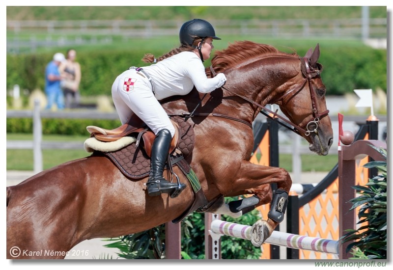 �amor�n Summer Masters - Opal Tour