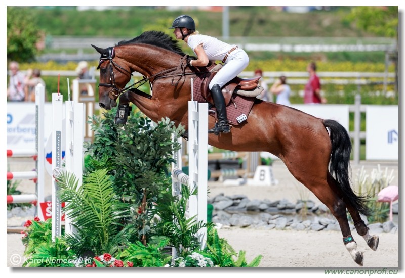 �amor�n Summer Masters - Opal Tour