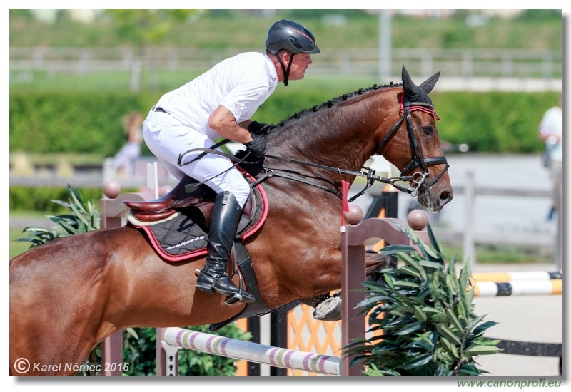 �amor�n Summer Masters - Opal Tour