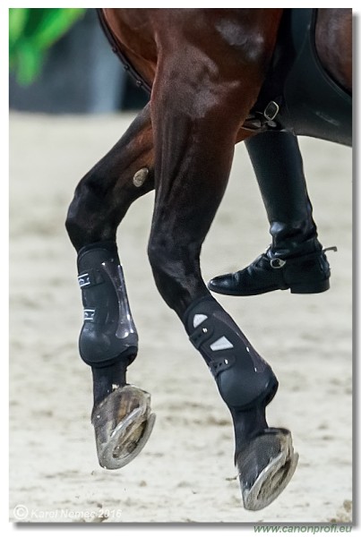 �amor�n CSI2* - Silver Tour Final