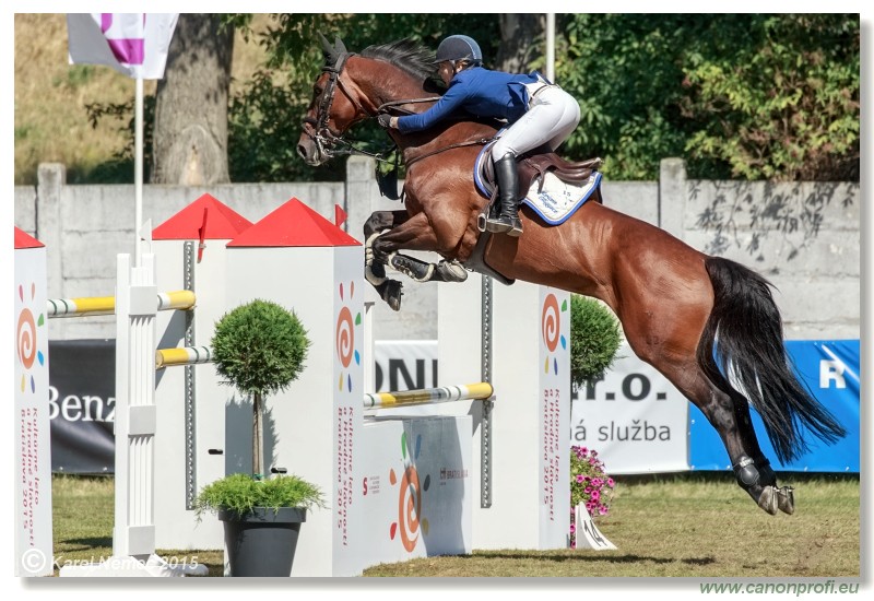 Grand Prix Bratislava