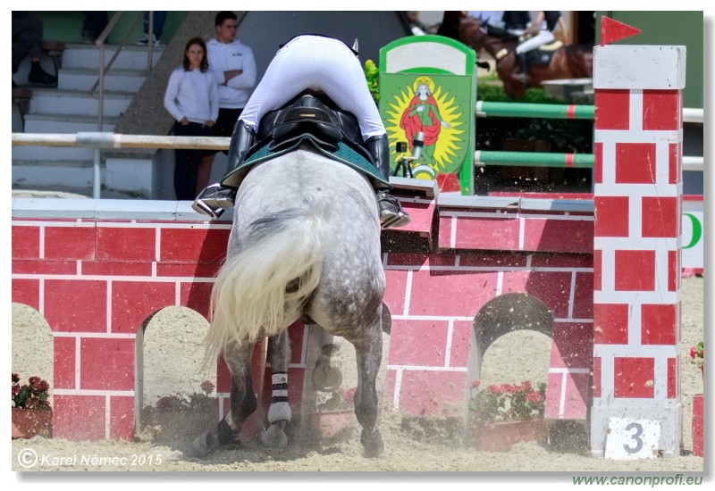 Rozalka GP - Little Tour - 120cm