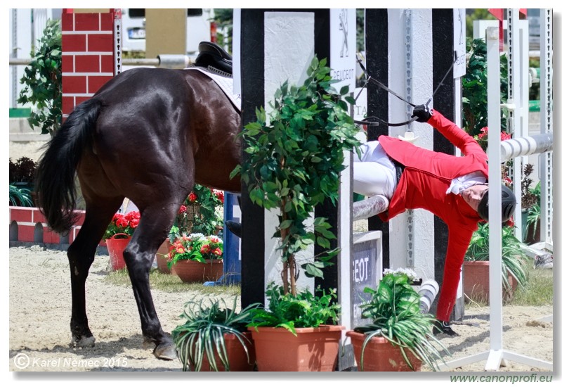 Rozalka GP - Little Tour - 120cm